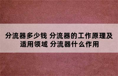 分流器多少钱 分流器的工作原理及适用领域 分流器什么作用